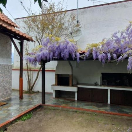 Villa Afroditi Nea Vrasna Exterior photo