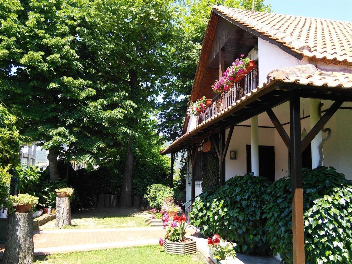 Villa Afroditi Nea Vrasna Exterior photo